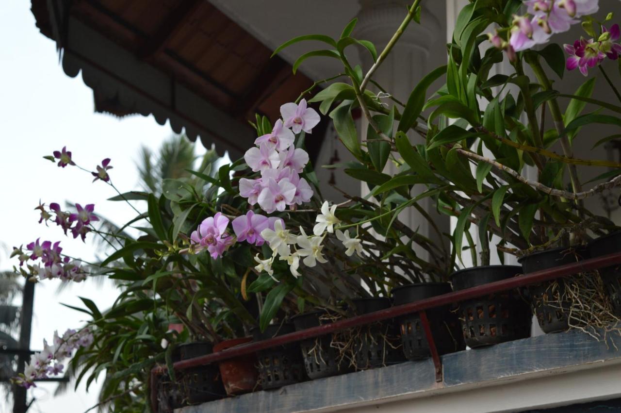 Dream Catcher Home Stay Kochi Exteriér fotografie