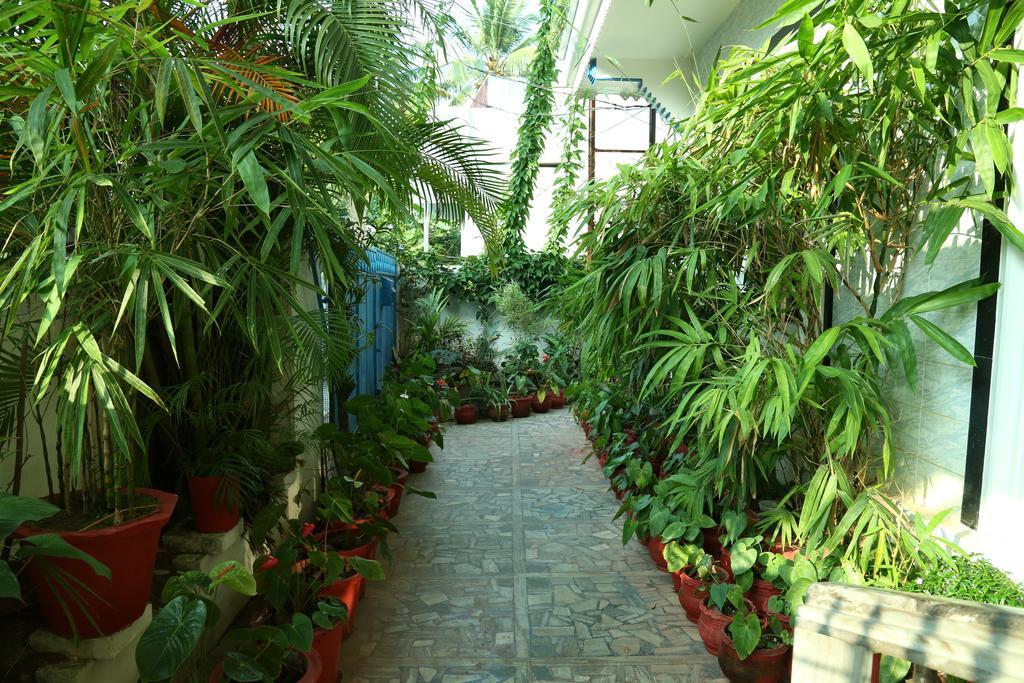 Dream Catcher Home Stay Kochi Exteriér fotografie
